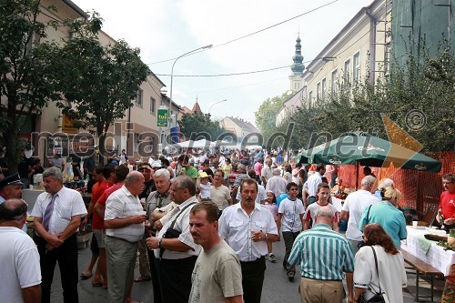 Glava ulica Lendava