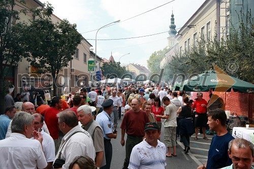 Glava ulica Lendava