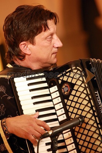 Štefan Horvat, harmonika v skupini Langa