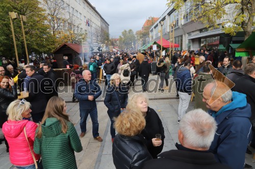 Martinovanje v Mariboru 2019