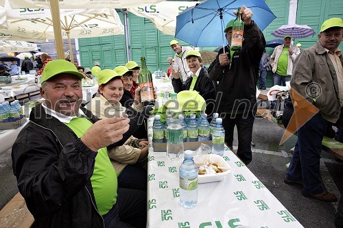 Simpatizerji stranke SLS na 17. taboru stranke v Celju