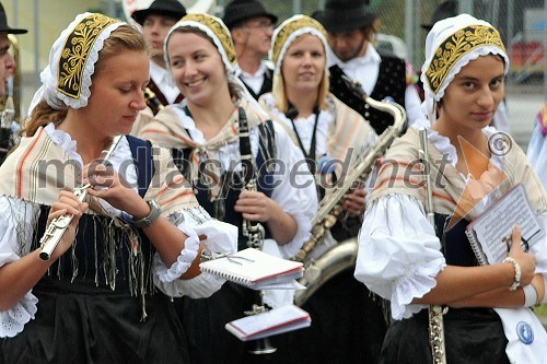 Kulturno društvo pihalni orkester Bežigrad