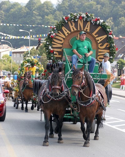 Festival Pivo - cvetje