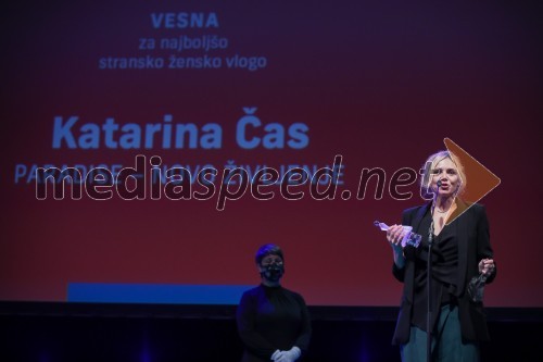 Podelitev nagrad vesna, Festival slovenskega filma