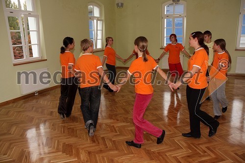 Plesna izba Maribor