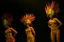 Bahia Dance Group