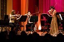 Božično-novoletni koncert violinistke Anje Bukovec