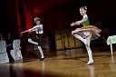 Nastop plesalcev Plesne šole Kazina