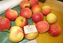Jabolka na tržnici Maribor