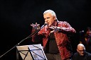Zoran Predin, glasbenik