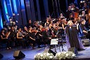 Elda Viler, pevka, Big Band in Simfonični orkester RTV Slovenija