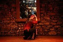Gipsy night, oder hiše Zahir: Alexandra Cegledi, madžarska plesalka