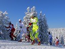 Petra Majdič, smučarska tekačica (v rumenem dresu)