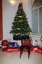 Božično – novoletno drevo