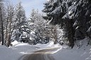 Zimska pravljica na Pohorju