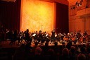Avstralski komorni orkester