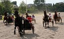 Sebastian, pevec, Erazem B. Pintar, podjetnik in kolumnist, Brane Kastelic, dopisnik BBC London, Tone Fornezzi Tof in Vili Resnik, pevec med dirko