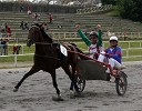 Vili Resnik, pevec in kasačica