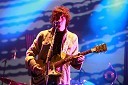 Andrew VanWyngarden, član skupine