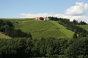 Vinograd Fakultete za kmetijstvo, UKC Pohorski dvor Meranovo
