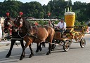 Pivska povorka skozi Laško