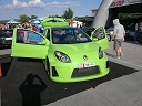 Renault Twingo Cameleon