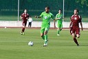 Ashkan Dejagah, VfL Wolfsburg in Alen Krcič, Triglav