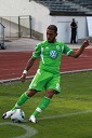 Ashkan Dejagah, VfL Wolfsburg