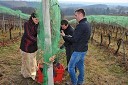 Martina Baškovič, vinska kraljica 2012, Borut Cvetkovič, direktor podjetja Radgonske gorice, d.d. in Sandi Brumen, vodja prodaje v podjetju Radgonske gorice d.d.