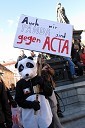 Protestnik panda