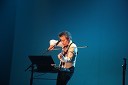 Laurie Anderson, glasbenica