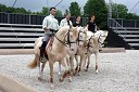 Emanuel Dardenne, Laure Guillaume, Emmanuelle Santini, ...