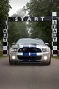 Mustang Ford Shelby GT500