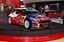 Citroen DS3 R5 - dirkalna različica