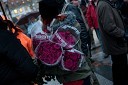 Protesti v Ljubljani