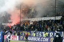 Navijači NK Maribor