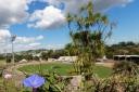 Stadion Western Springs, Auckland