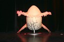 Predstava Kolumbovo jajce