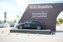 Mercedes-Benz Star Experience Wild Beauties