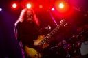 Warren Haynes, kitarist