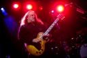 Warren Haynes, kitarist