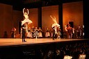 Baletniki SNG Opera in balet Ljubljana