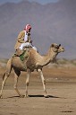 Beduin na kameli