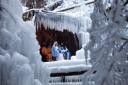 8. teden - V soseski Mlačca v Mojstrani so ponovno na ogled žive jaslice v ledenem kraljestvu, Matjaž Tavčar