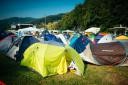 50. pivo in cvetje, sobota, festivalsko dogajanje