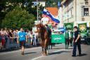 50. Pivo in cvetje, nedelja, festivalsko dogajanje