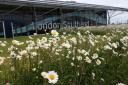 London Southend Airport, Velika Britanija