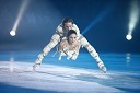 Nathalie Pechalat in Fabien Bourzat, umetnostna drsalca