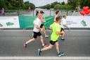 37. Maraton treh src 2017