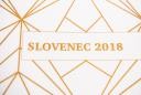 Slovenec 2018, medgeneracijska razprava